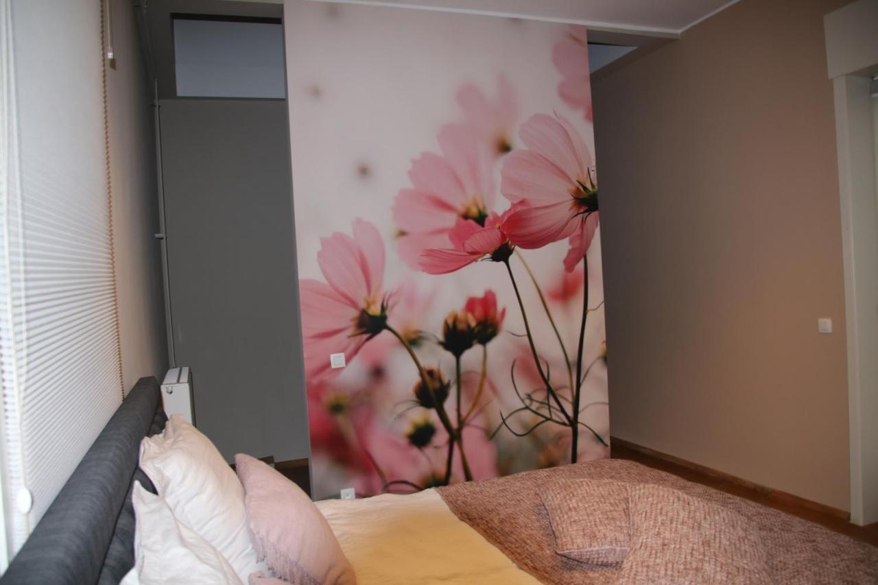 B&B Het Doctershoes Kinrooi Exterior foto
