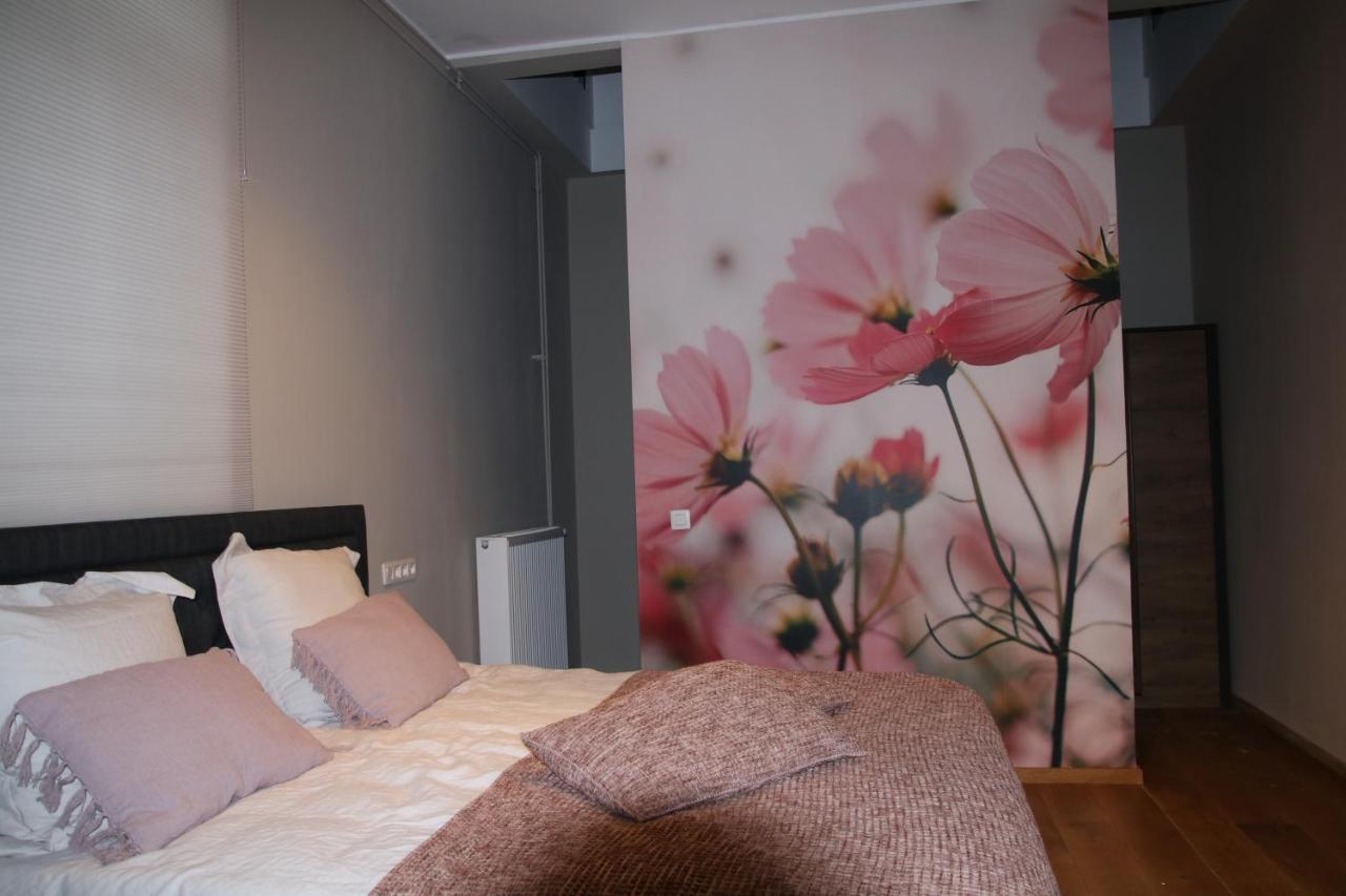 B&B Het Doctershoes Kinrooi Exterior foto