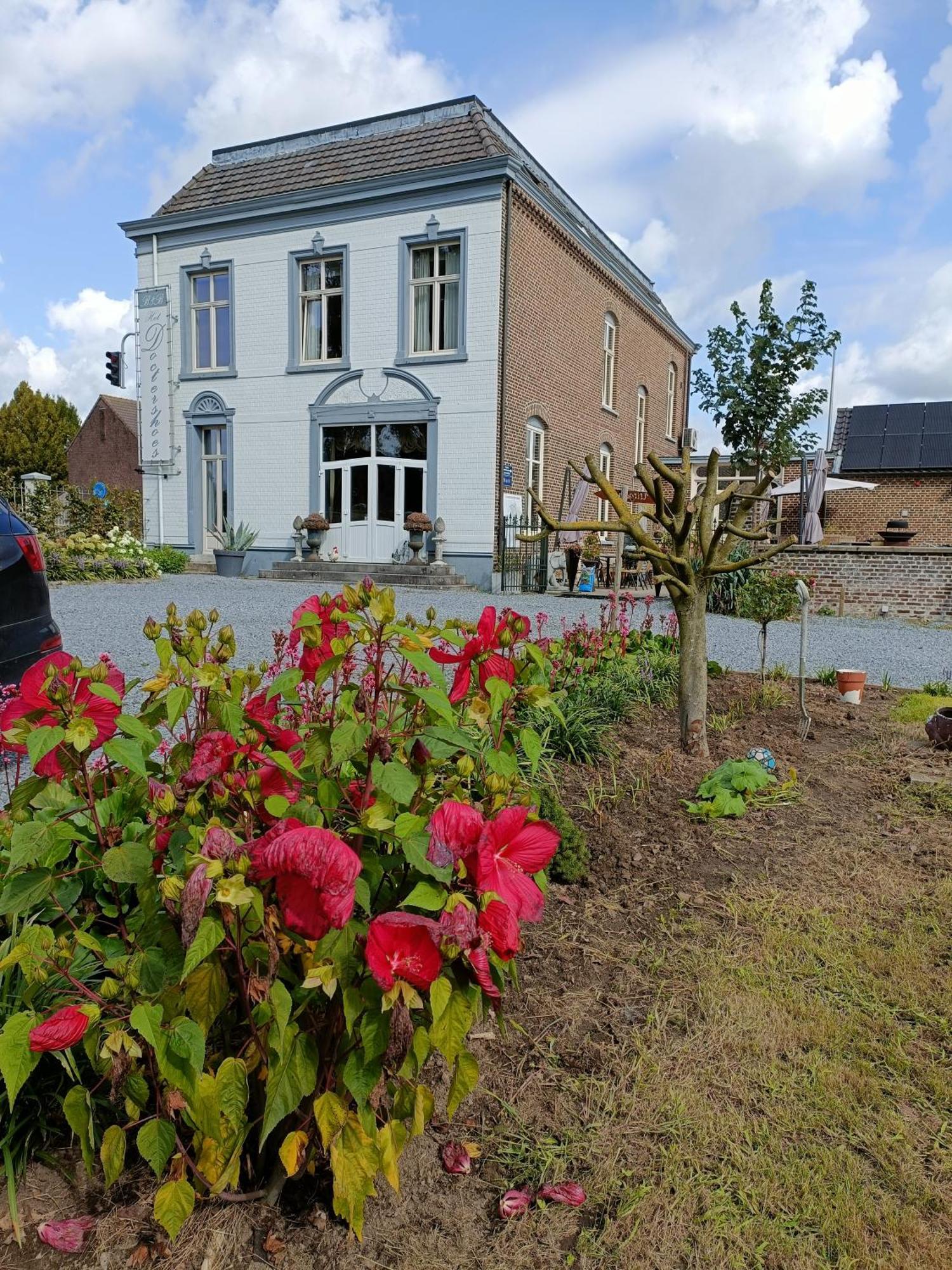 B&B Het Doctershoes Kinrooi Exterior foto